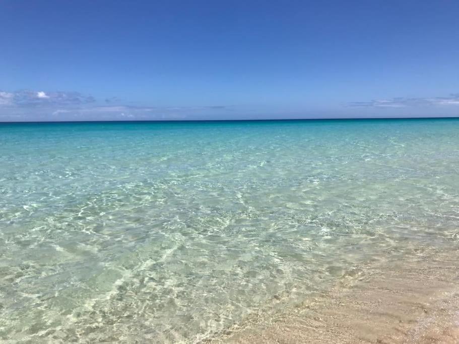 Chic&Surf Dunes View Lumineux Et Vue Superbe ! Corralejo Esterno foto